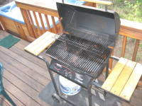 IMG_bbq0840.jpg